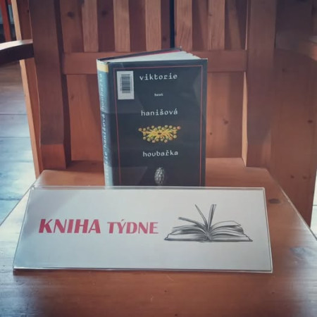 37. týden 2026